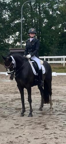 Customer photo review of Strotonin Horse Support