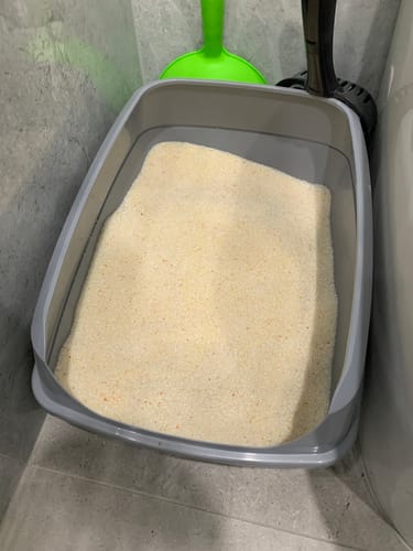 Customer photo review of 3 Month Supply - 1 Cat