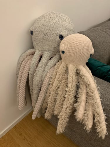 Customer photo review of The Octopus