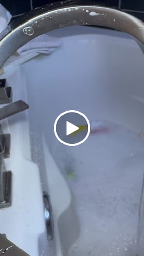 Customer video review of The Regulars Bundle