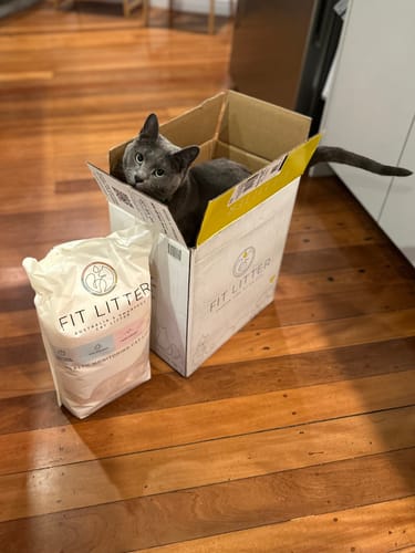 Customer photo review of 3 Month Supply - 1 Cat