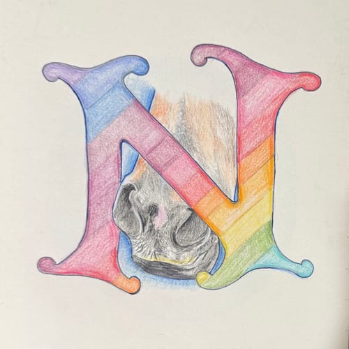 Customer photo review of Colored Pencil Premium Box