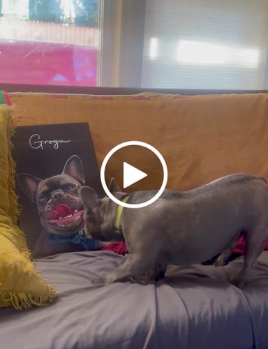 Customer video review of Pet Art Canvas Wrap
