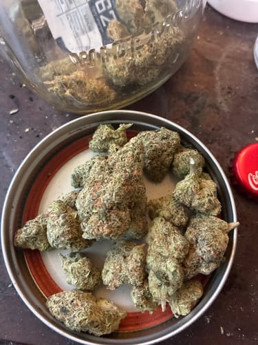 Customer photo review of OG Mota
