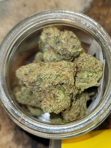 Customer photo review of OG Mota