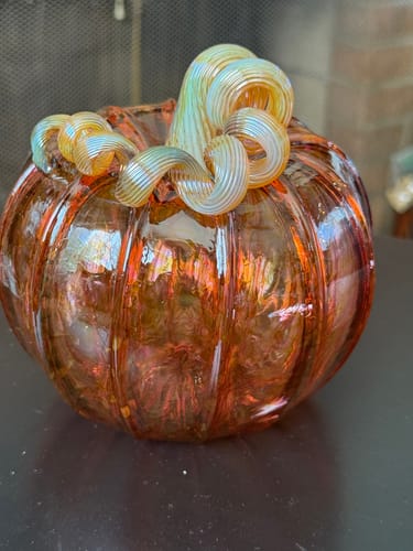 Customer photo review of the Harvest Pumpkin