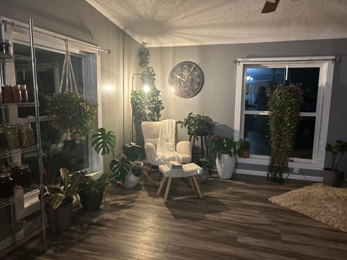 Customer photo review of Plant Food