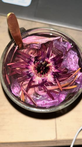 Customer photo review of PRE ORDER Red Lotus Whole Flower (Nymphaea rubra)