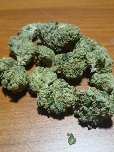 Customer photo review of Shipping Protection by Route