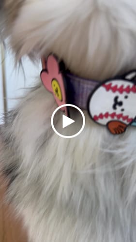 Customer video review of Ribbon Pink Jiby Dog Charm