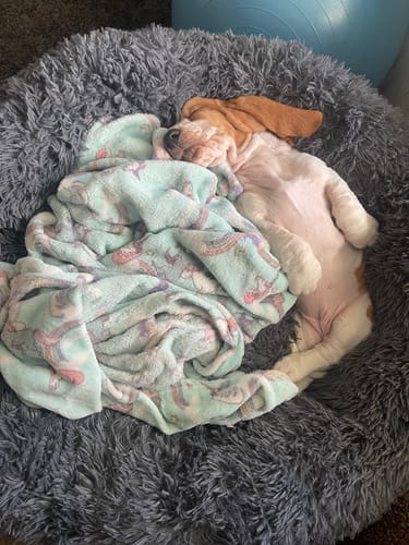 Customer photo review of CalmBed - Motverkar stress & hjälper mot ångest