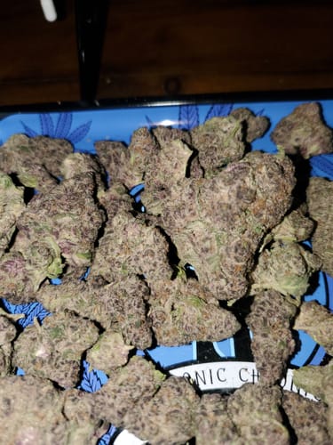 Customer photo review of Pink Warheads Indoor THCA