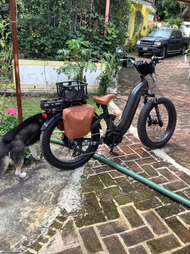 Customer photo review of Wired Scout