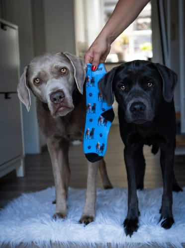 Sarah S. review of Personalisierte Socken mit deinem Haustier image 1 out of 1