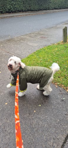 Customer photo review of Camo City Leash (Hands-Free)
