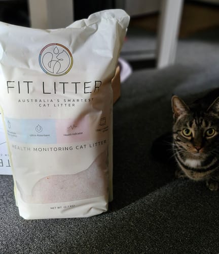 Customer photo review of 1 Month Supply – 1 Cat