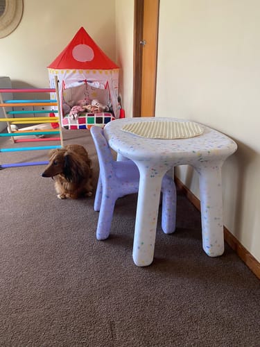 Customer photo review of Confetti Chair