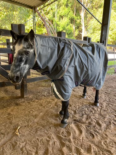 Wendy T. review of Amigo 1200D Plus Turnout 0g image 1 out of 1