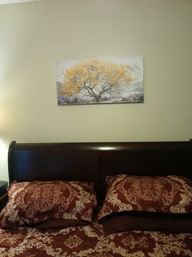 Customer photo review of Rooted in History
