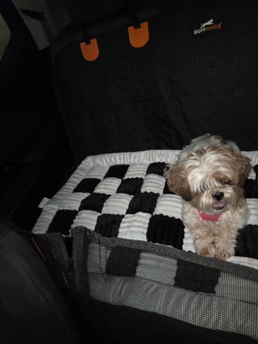 Customer photo review of RuffRover 2.0™ - Hard Bottom Back Seat Extender + (FREE Dog Bed)