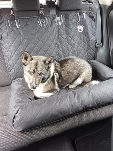 Customer photo review of Car Seat Cover