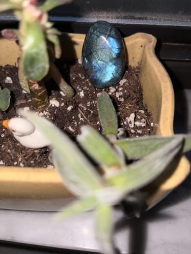 Customer photo review of VIP Crystal Club ~ Monthly Crystal Tester