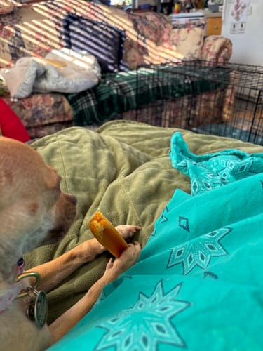 Customer photo review of Yak Chew Pack – 6 Flavor-Infused Sticks