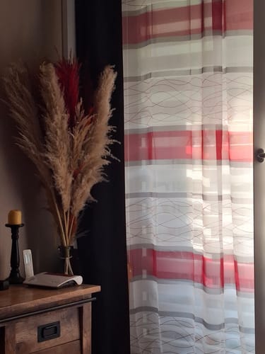 Customer photo review of Großes fluffiges Pampasgras