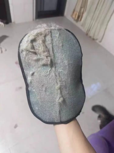 Customer photo review of Pet Hair Removal Gloves