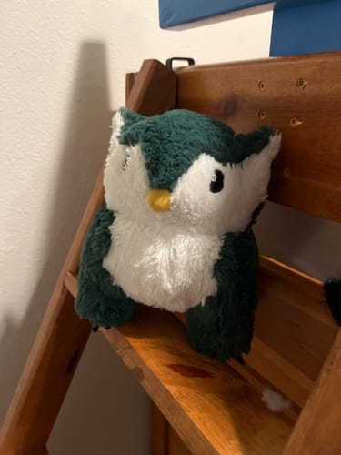 Customer photo review of Owlbear Plush