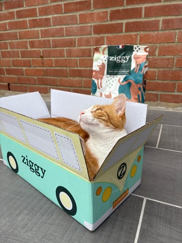 Avis photo d'un client sur Croquettes Chat Stérilisé Sans Céréales - Saumon