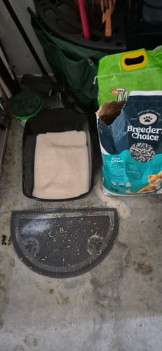 Customer photo review of 3 Month Supply - 1 Cat