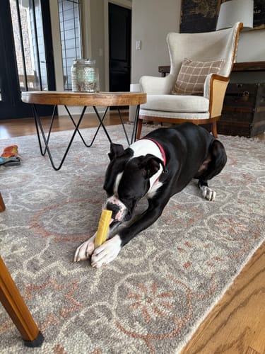 Customer photo review of Yak Chew Pack – 6 Flavor-Infused Sticks