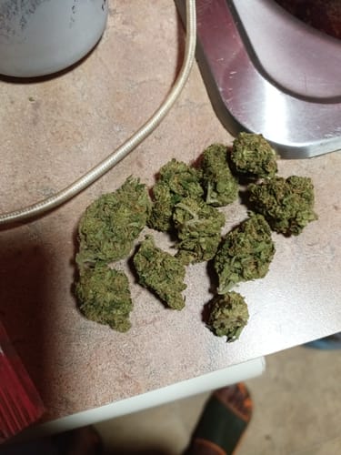Customer photo review of Moon Pie Light Assist THCA