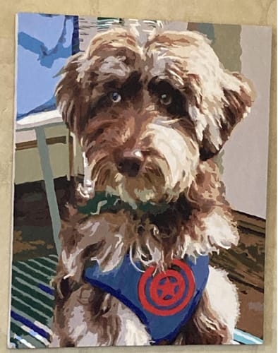 Customer photo review of Custom Pet Paint By Numbers