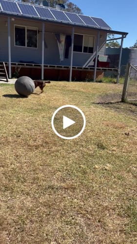 Customer video review of Outback Herder - Pre Order estimated delivery 17th Dec)