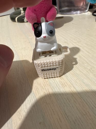 Customer photo review of Meowkey - Fidget Toy that Meows!