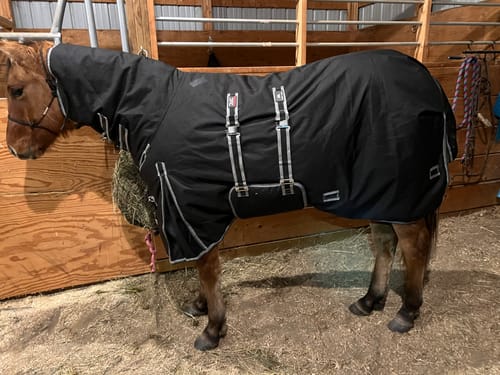 Customer photo review of Hay Chix® Buckle Safety Covers