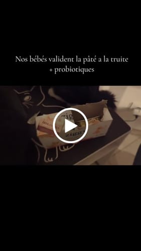 Avis vidéo d'un client sur Coffret Découverte Chaton - 1kg Croquettes + 8 Pâtées + 3 probiotiques