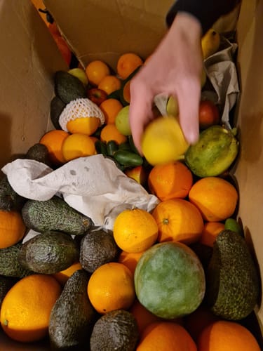 Kunde greift in die volle Überraschungs-Box mit vielen frischen Avocados, Orangen und einer Mango.