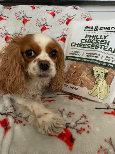Customer's cute dog lying beside a bag of Philly Chicken Cheesesteak treats on a blanket.