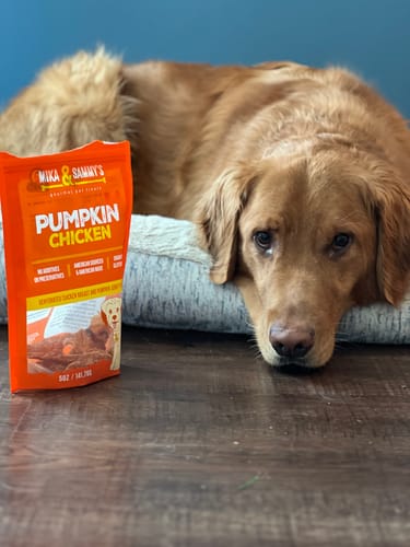 Customer's golden dog resting on its bed next to a bag of Pumpkin Chicken treats on the floor.