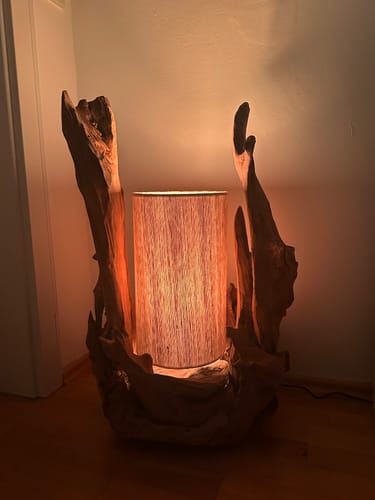 Kundenfoto der beleuchteten Tisch Wurzellampe BION, die ein warmes, gemütliches Licht ausstrahlt.