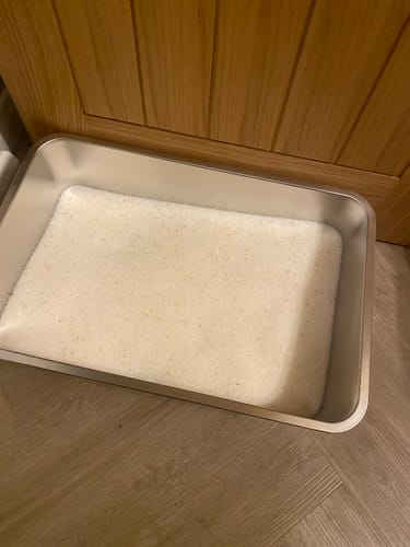 Customer photo review of 1 Month Supply – 2 Cat