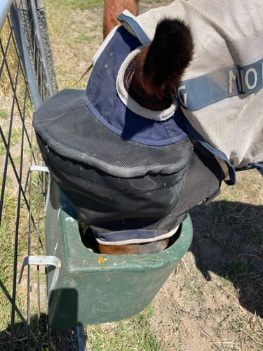 Customer photo review of LE Outback Fly Mask Original