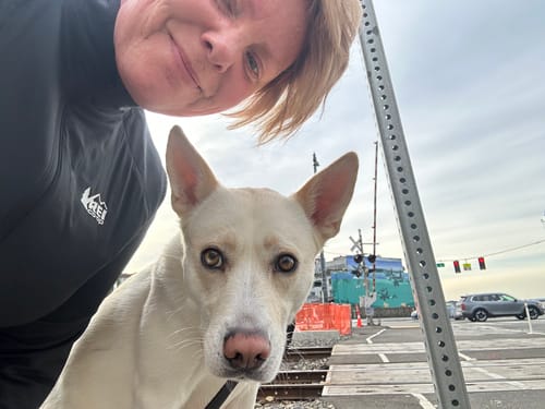 Customer photo review of 1-TDC Joint & Muscle Health Daily Supplement (90 Soft Gels)