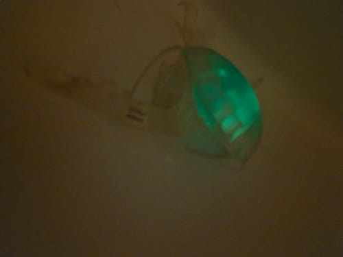 Customer photo review of Glow in the Dark Jellyfish