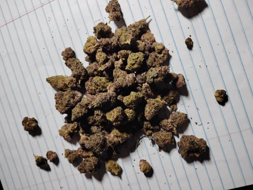 Customer photo review of 10mg Pamos Cannabis THC Cocktail