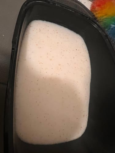 Customer photo review of 3 Month Supply - 1 Cat