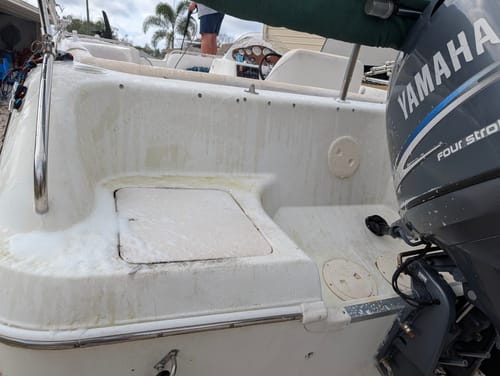 Customer photo review of Marine Salt Wash